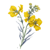 acquerello bouquet di fiori, acquerello, mazzo fiore, nozze fiore, acquerello floreale disegno, botanico fiore, acquerello decorazione, acquerello fiore, ai generato png