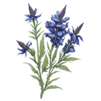 waterverf Bloemen boeket, waterverf boeket bloem, bruiloft bloem, waterverf bloemen ontwerp, botanisch bloem, waterverf decoratie, waterverf bloesem, ai gegenereerd png