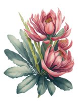 waterverf Bloemen boeket, waterverf boeket bloem, bruiloft bloem, waterverf bloemen ontwerp, botanisch bloem, waterverf decoratie, waterverf bloesem, ai gegenereerd png