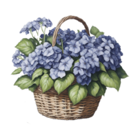 vattenfärg korg blomma, vattenfärg blombukett, vattenfärg bukett blomma, bröllop blomma, vattenfärg blommig design, botanisk blomma, vattenfärg dekoration, ai genererad png