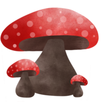 champignon rouge Couleur donc mignonne et minimal png