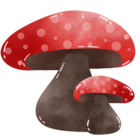 Mushroom red color so cute and minimal png