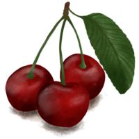cereja fruta vermelho muito suculento png