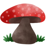 Mushroom red color so cute and minimal png