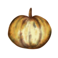Water color painting pumpkin png