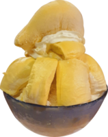 Durian bingsu png