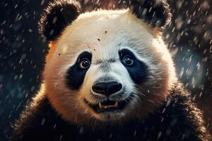 Close-up photo of panda in the rain.