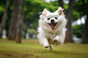 A close - up shot of a joyful, dog running through the park. Generative AI photo