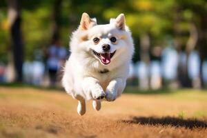 un cerca - arriba Disparo de un alegre, perro corriendo mediante el parque. generativo ai foto