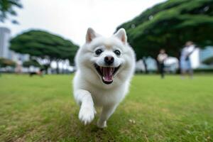 A close - up shot of a joyful, dog running through the park. Generative AI photo