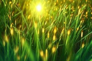 A grassy field with sun rays behind it. Generative AI photo