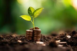 An image that represents the idea of financial growth and investment by photographing a sprouting plant or tree growing out of a pile of coins. photo