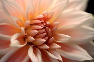 The intricate details of a blooming flower in a macro shot. photo