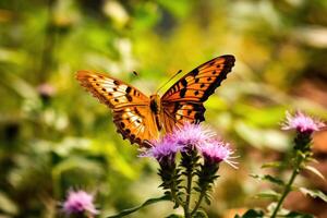 The tranquility and beauty of nature with a close - up shot of a colorful butterfly resting on a flower. photo