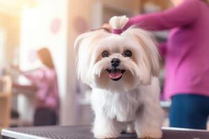 Professional pet groomer as she delicately trims the fur of a fluffy dog at a grooming salon. Generative AI photo