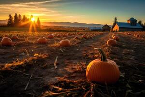 In this Halloween - themed photo, the festive spirit of a pumpkin patch harvest. Generative AI photo