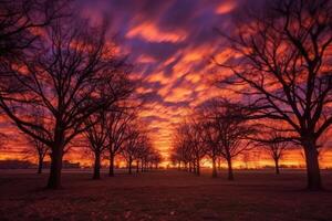 el Disparo saldos el siluetas de desnudo arboles en contra el vibrante colores de el puesta de sol cielo, mezcla el tranquilidad y misterio de el otoño estación. generativo ai foto