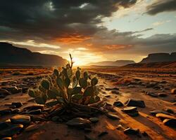 Desert Solitude - Lone Cactus in a Stormy Desert Landscape. Generative AI photo