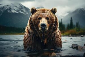 estar alto - imponente oso pardo oso en Alaska desierto. generativo ai foto