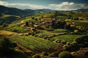 A Tuscan vineyard from above during harvest season. Generative AI photo