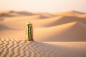 In the harsh desert under a burning sun, a lone cactus stands tall. photo