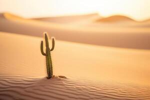 In the harsh desert under a burning sun, a lone cactus stands tall. photo