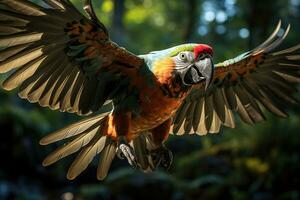 Colorful macaw taking flight in a remote Amazon rainforest. Generative AI photo