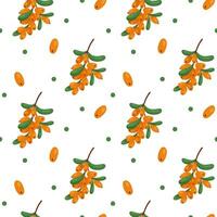 Vector pattern with sea buckthorn