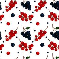 Vector pattern with black and red currant