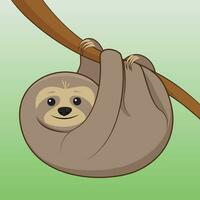 Sloth cartoon illustration vector illustration