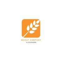 The wheat plant symbolizes agriculture, growth, and prosperity vector