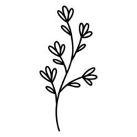 Cute branch with flowers and leaves isolated on white background. Vector hand-drawn illustration in doodle style. Perfect for cards, logo, decorations, various designs. Botanical clipart.
