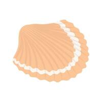 Sea shells and stars collection. Marine vector illustration of ocean shellfish.