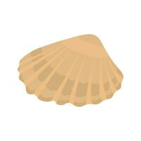 Sea shells and stars collection. Marine vector illustration of ocean shellfish.