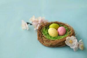 Easter background with Easter eggs and spring flowers. Top view with copy space photo