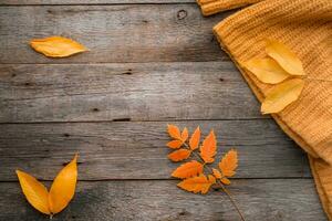 Autumn leaves and knitted sweater on old wooden background . Copy space photo