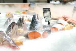 Refrigerated showcase with salmon in the store. Chilled red fish is sold in the supermarket. photo