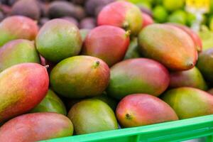 Fresco mangos en el mercado. un montón de mangos en el supermercado encimera. frutas, vitaminas foto