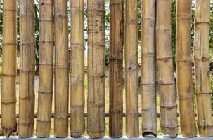 A close-up view of a large bamboo wall spaced out on a concrete pedestal. photo