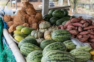 Heaps of melons, pumpkins, sweet potatoes and many others stacked together. photo