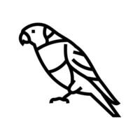 rainbow lorikeet parrot bird line icon vector illustration