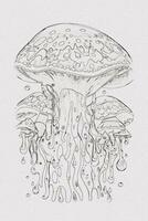 A hand-drawn sketch of a mushroom outline illustration on white texture background photo