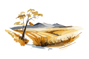 Aquarell golden Feld mit Pflanzen auf transparent Hintergrund, png. handgemalt golden Landwirtschaft, Anbau, Landschaft Landschaft Feld zum T-Shirts, Buch Abdeckungen, und drucken Medien Dekorationen png