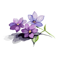 acuarela Violeta o púrpura flores pintura recopilación, transparente fondo, png. dibujado a mano Clásico retro flores ilustración para camisetas, libro cubiertas, y impresión medios de comunicación decoraciones png