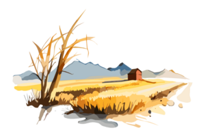 Watercolor golden field with crops on transparent background, PNG. Hand-drawn golden agriculture, cultivation, countryside landscape field for t-shirts, book covers, and print media decorations png