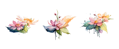 Aquarell violett oder lila Blumen Gemälde Sammlung, transparent Hintergrund, png. handgemalt Jahrgang retro Blumen Illustration zum T-Shirts, Buch Abdeckungen, und drucken Medien Dekorationen png