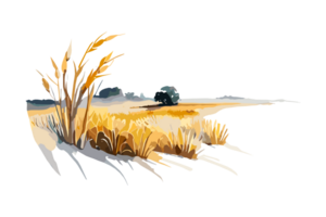 Watercolor golden field with crops on transparent background, PNG. Hand-drawn golden agriculture, cultivation, countryside landscape field for t-shirts, book covers, and print media decorations png