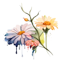 Aquarell violett oder lila Blumen Gemälde Sammlung, transparent Hintergrund, png. handgemalt Jahrgang retro Blumen Illustration zum T-Shirts, Buch Abdeckungen, und drucken Medien Dekorationen png