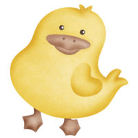 Jaune mignonne canard png