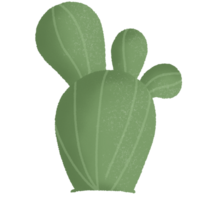 cactus fabriek sappig png